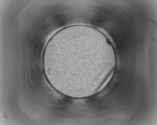 X0000102361004200808221712