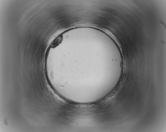 X0000102361005200808221712