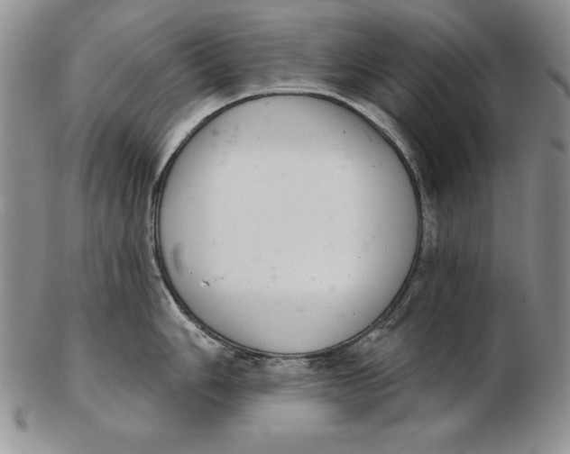 X0000102361006200808221712