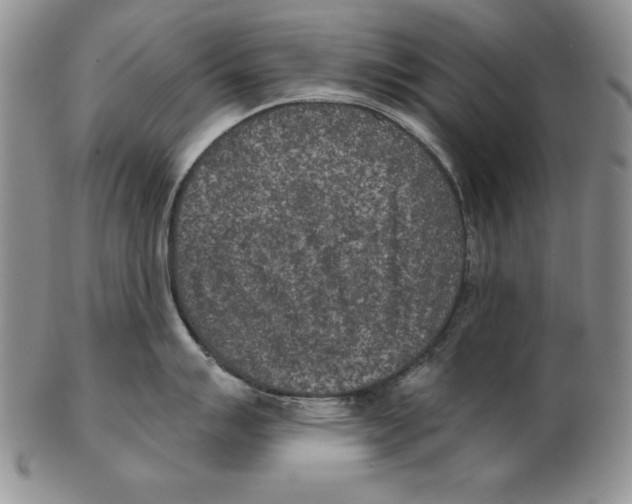 X0000102361007200808221712