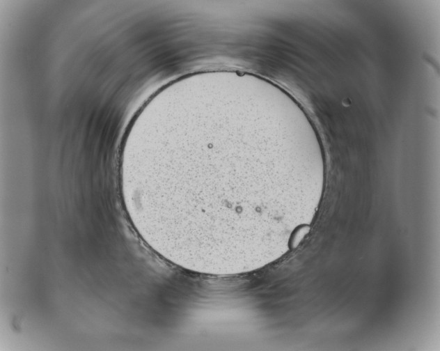 X0000102361008200808221711