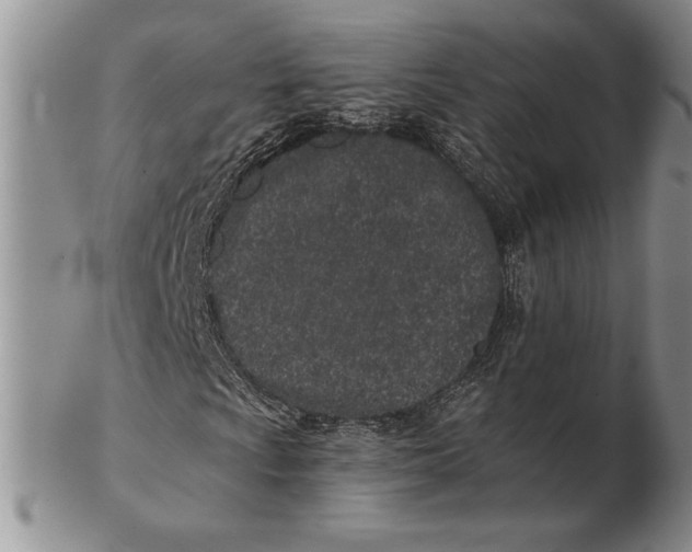 X0000102361009200808221711