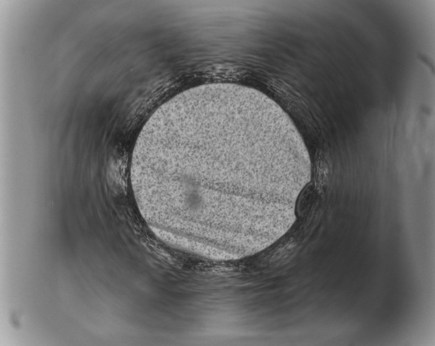 X0000102361010200808221711