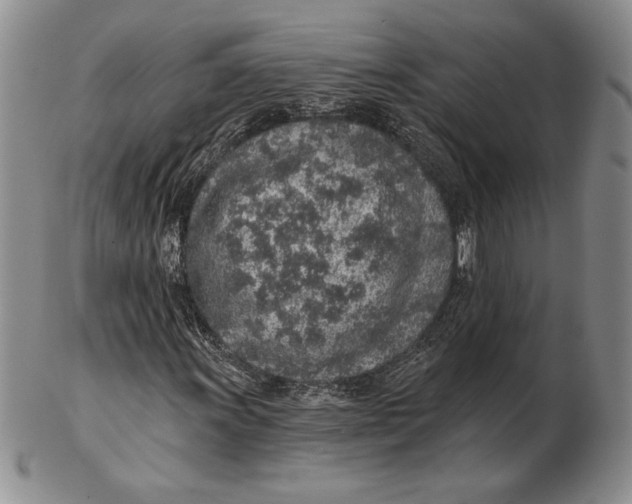 X0000102361011200808221711