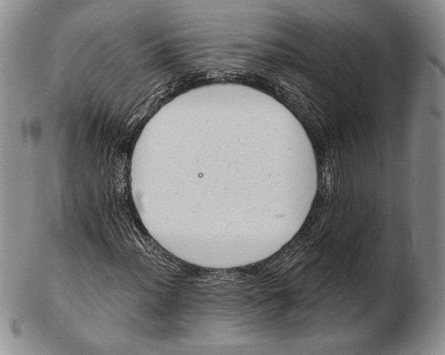 X0000102361012200808221711