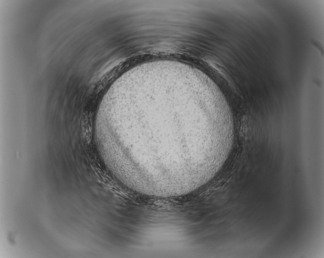 X0000102361015200808221711