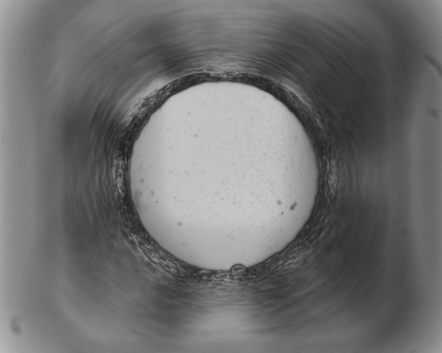 X0000102361016200808221711