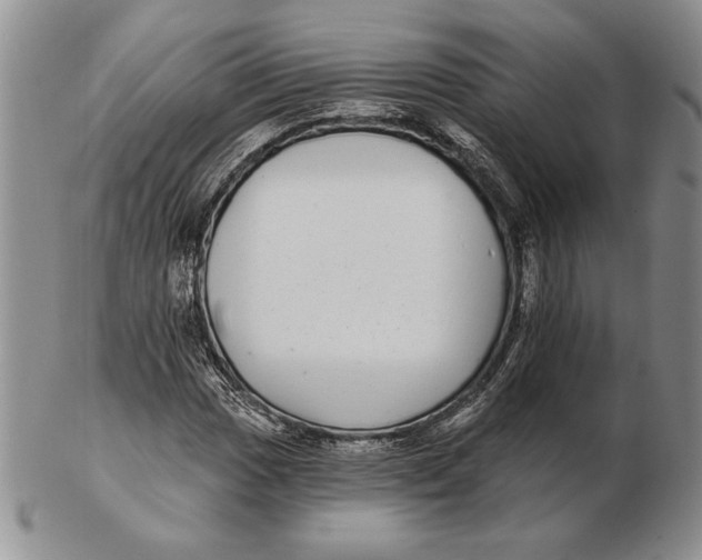 X0000102361017200808221711