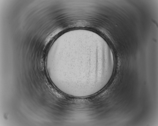 X0000102361018200808221711