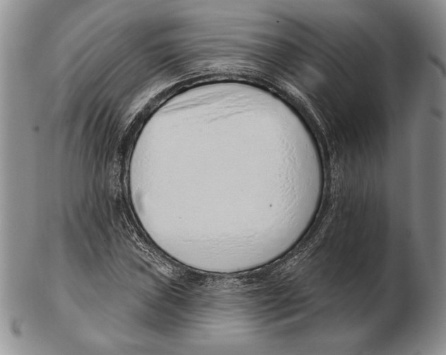 X0000102361019200808221711