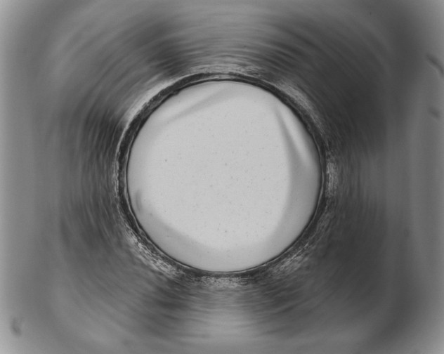 X0000102361020200808221711