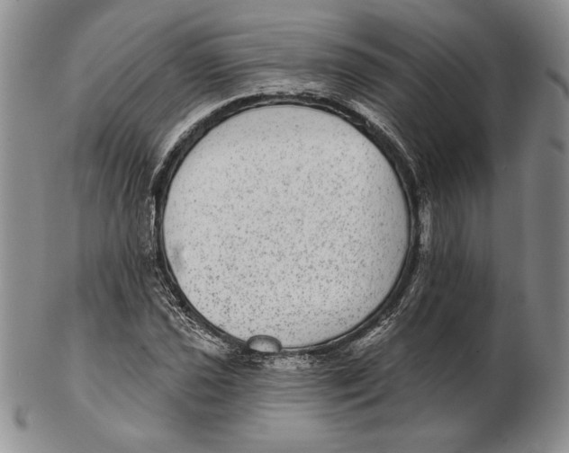 X0000102361021200808221711