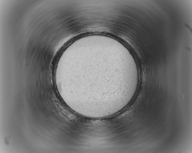 X0000102361022200808221711