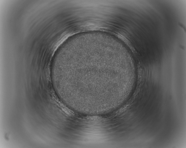 X0000102361023200808221711