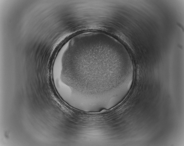 X0000102361024200808221711