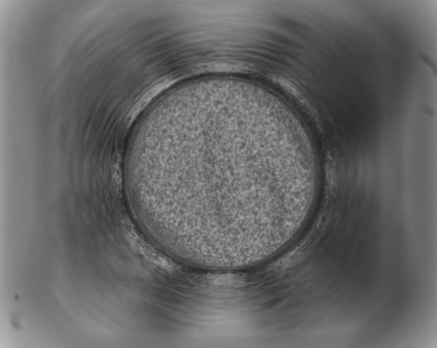 X0000102361025200808221711