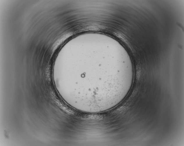 X0000102361026200808221711