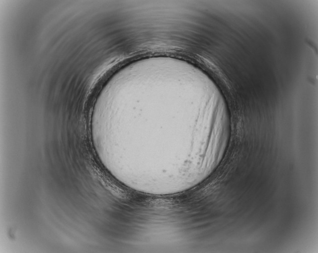 X0000102361027200808221711