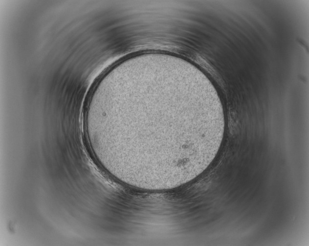 X0000102361028200808221711