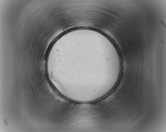 X0000102361029200808221711