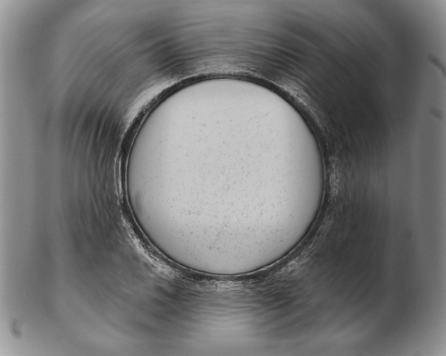 X0000102361030200808221711