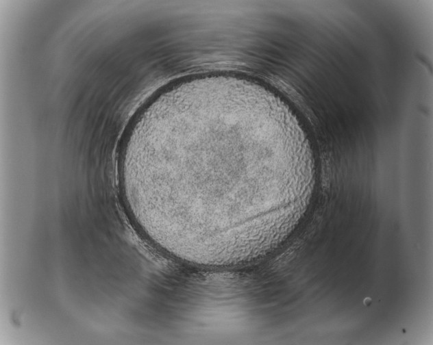 X0000102361031200808221711