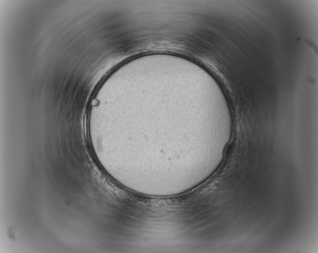 X0000102361032200808221711