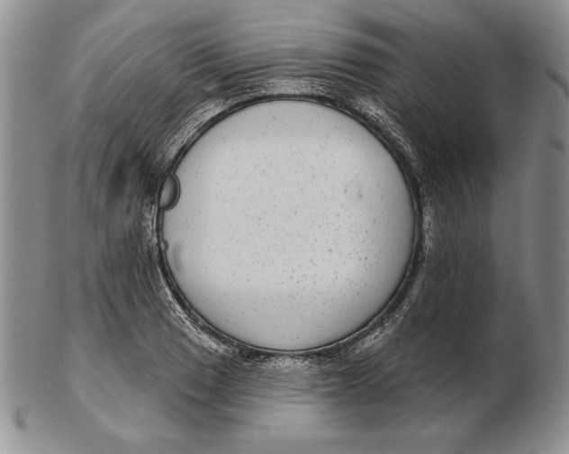 X0000102361033200808221711