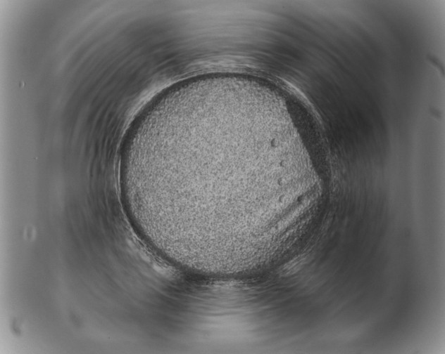 X0000102361035200808221711