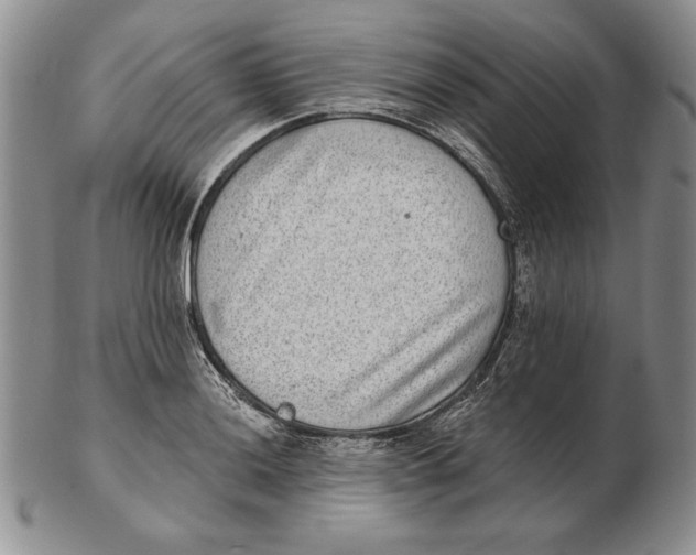 X0000102361036200808221711