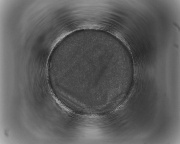 X0000102361037200808221711