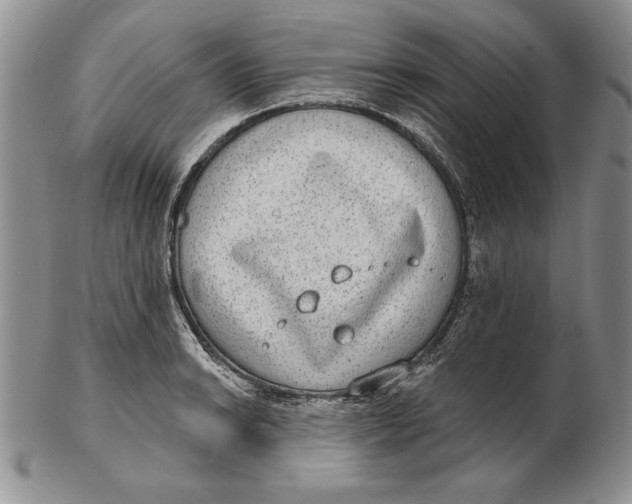 X0000102361038200808221711