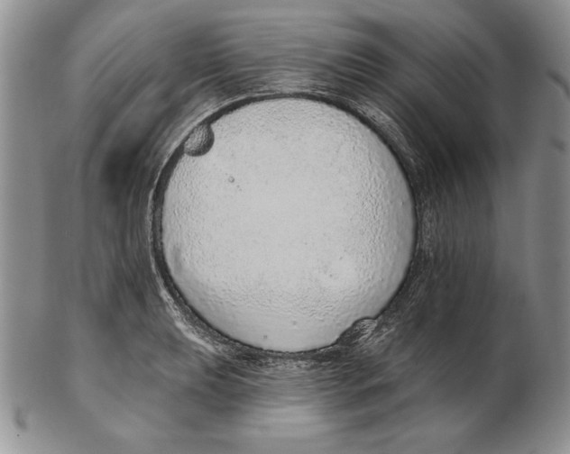 X0000102361039200808221711