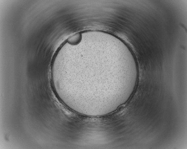 X0000102361040200808221711