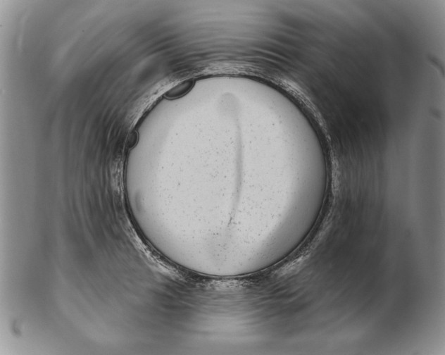 X0000102361041200808221711