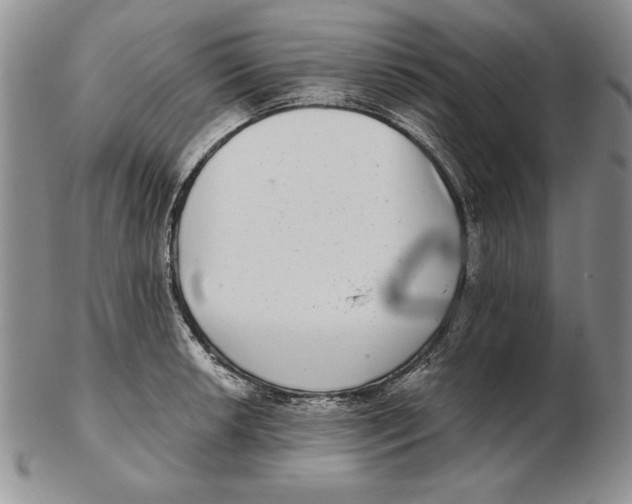 X0000102361042200808221711