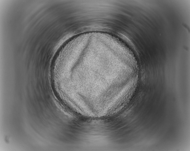 X0000102361043200808221711