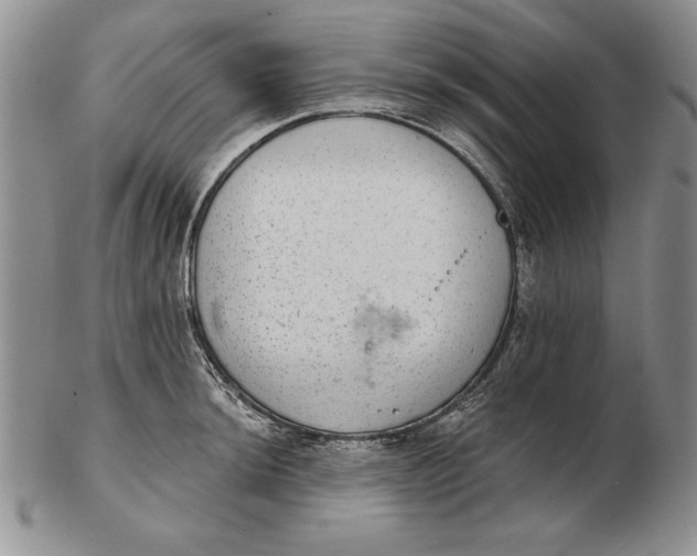 X0000102361044200808221711