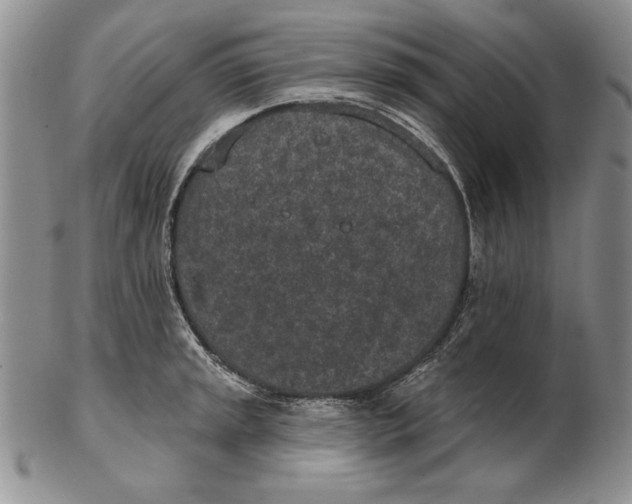 X0000102361045200808221711