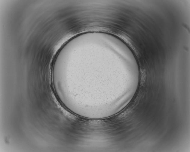 X0000102361046200808221711