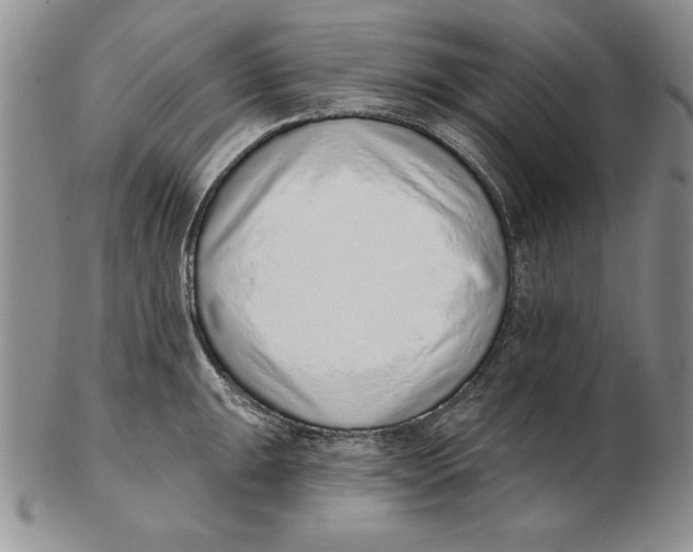 X0000102361047200808221711