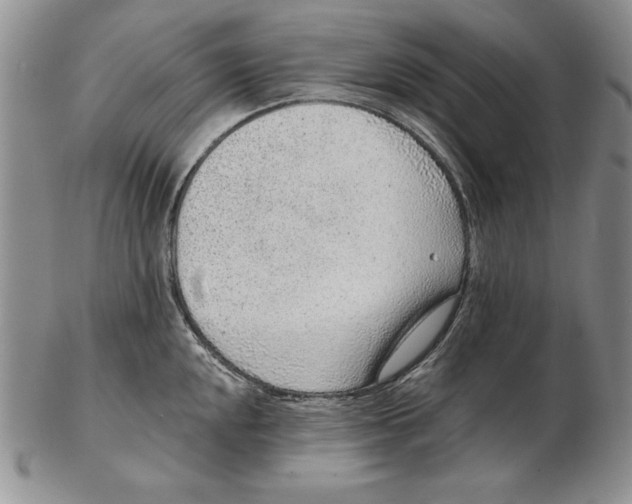 X0000102361048200808221711