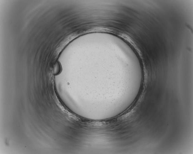 X0000102361049200808221711