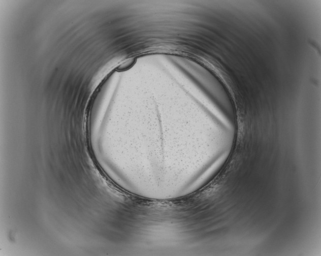 X0000102361050200808221711