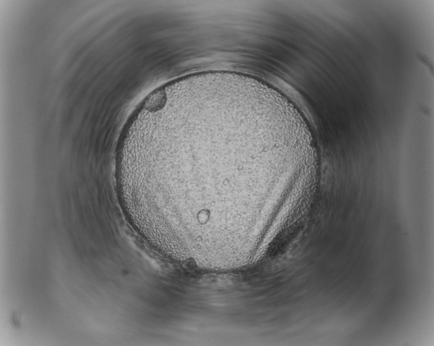 X0000102361051200808221711