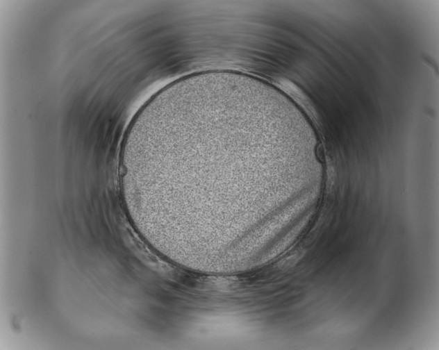 X0000102361052200808221711