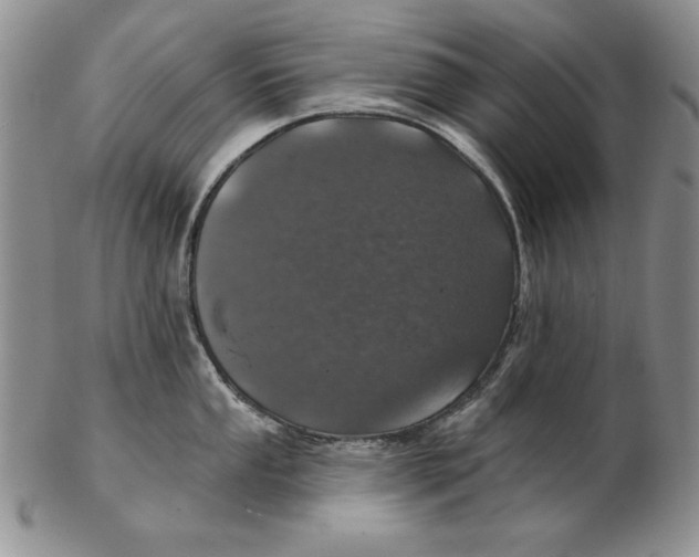 X0000102361053200808221711