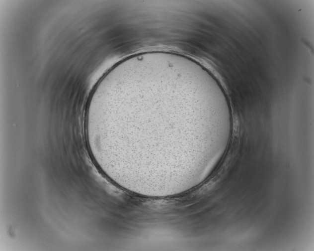 X0000102361054200808221711