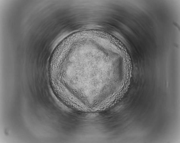 X0000102361055200808221711