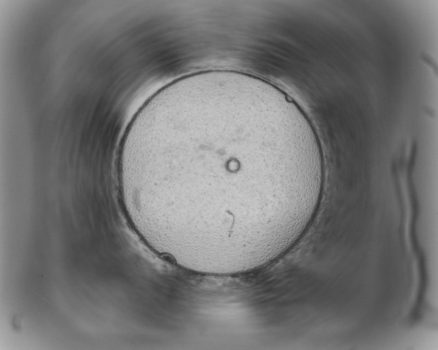 X0000102361056200808221711